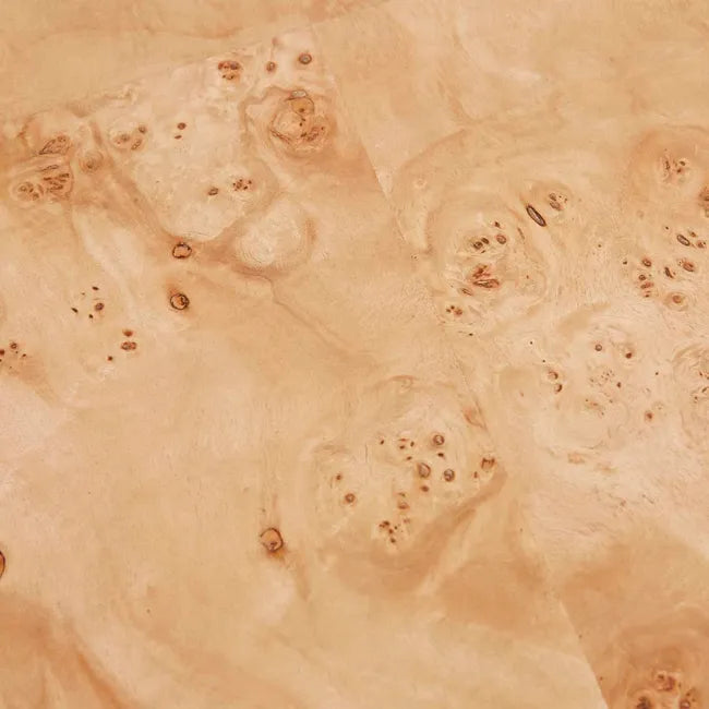 Trove Burl Coffee Table by GlobeWest