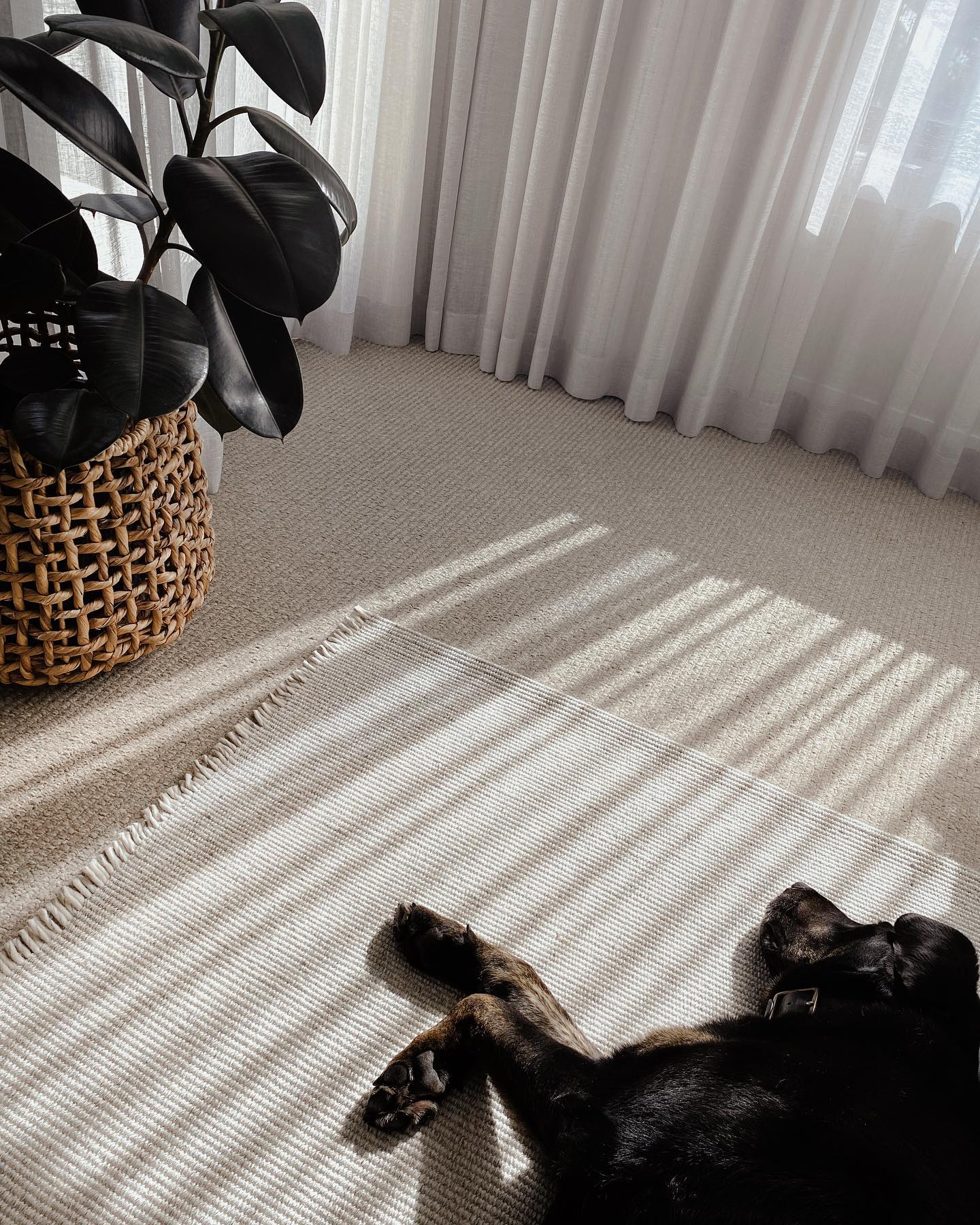 Derby Bone Rug by Bayliss Rugs available from Make Your House A Home. Furniture Store Bendigo. Rugs Bendigo.