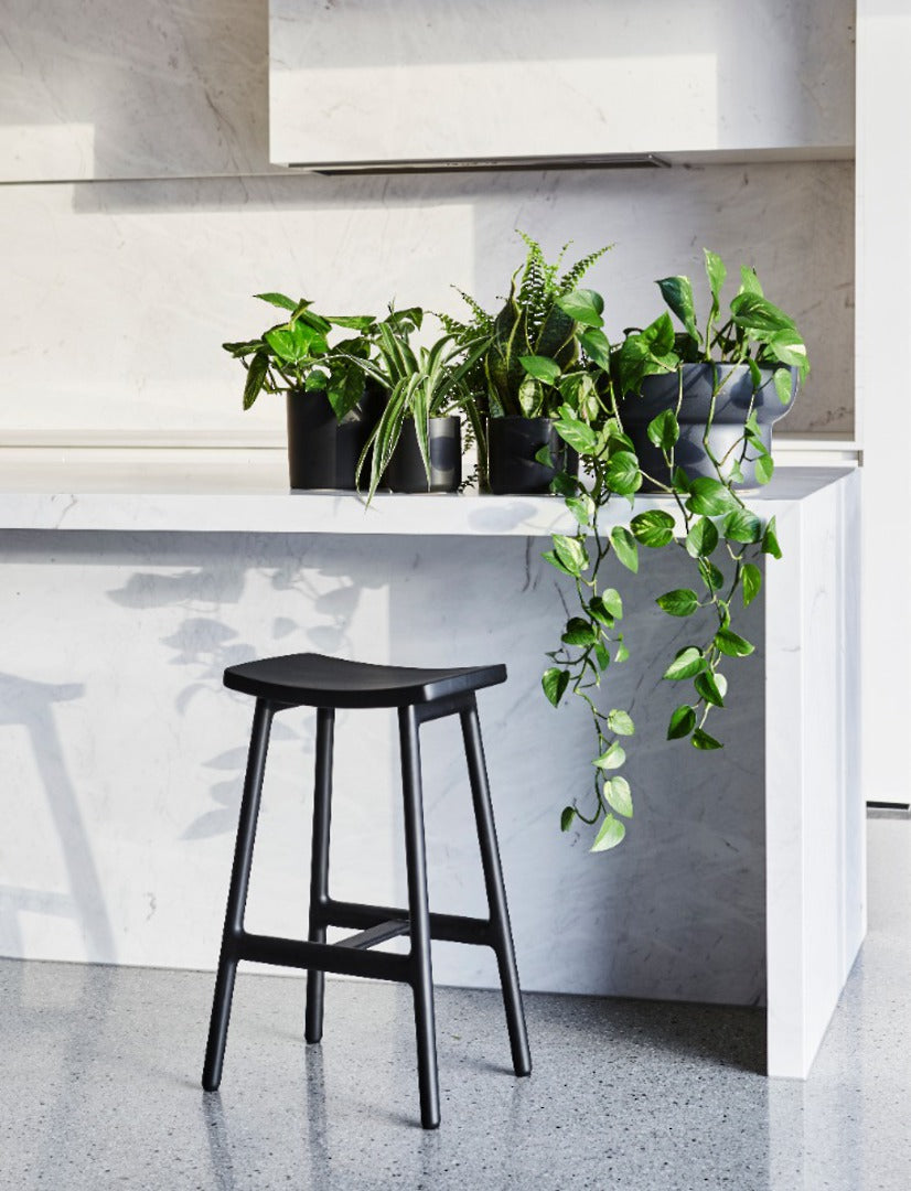 Sketch Odd Barstool by GlobeWest from Make Your House A Home Premium Stockist. Furniture Store Bendigo. 20% off Globe West Sale. Australia Wide Delivery.