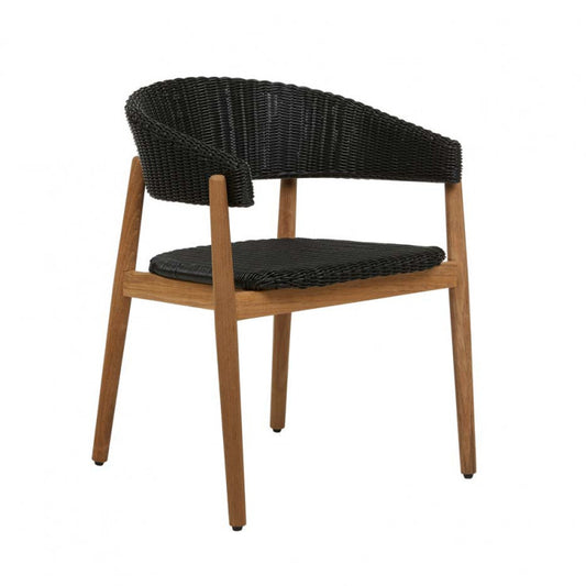 Villa Curve Dining Arm Chair by GlobeWest from Make Your House A Home Premium Stockist. Furniture Store Bendigo. 20% off Globe West Sale. Australia Wide Delivery.